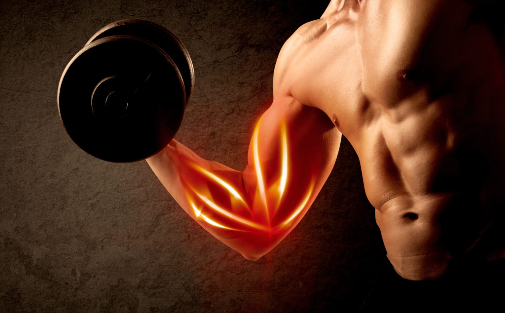 Body burn. Тема фит узор. Сжигание тела в спорте это.