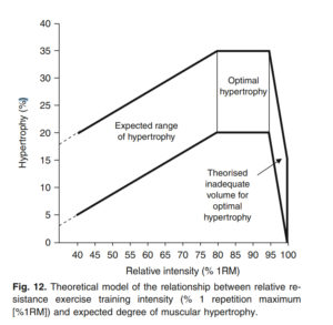 Increasing mechanical tension increases muscle size - Gravity ...