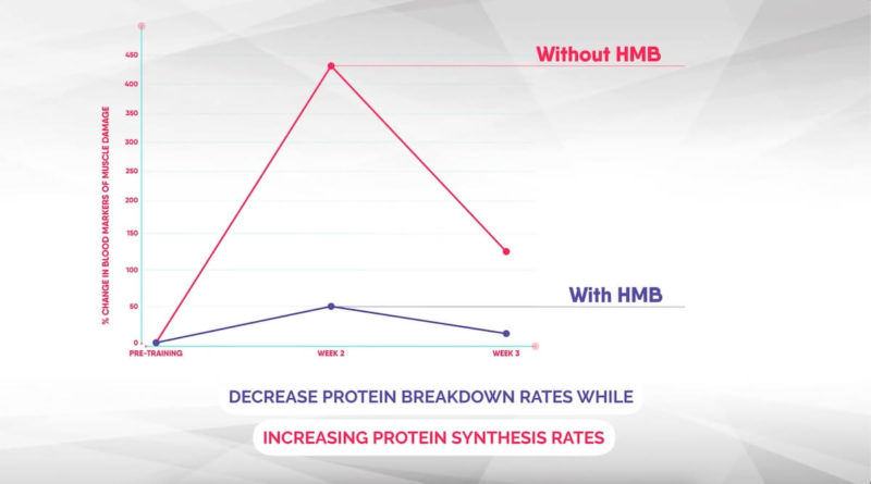 results-from-study-about-hmb-supplements-and-protein-breakdown