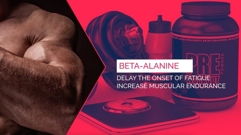 beta-alanine-pre-workout-supplement-ingredient