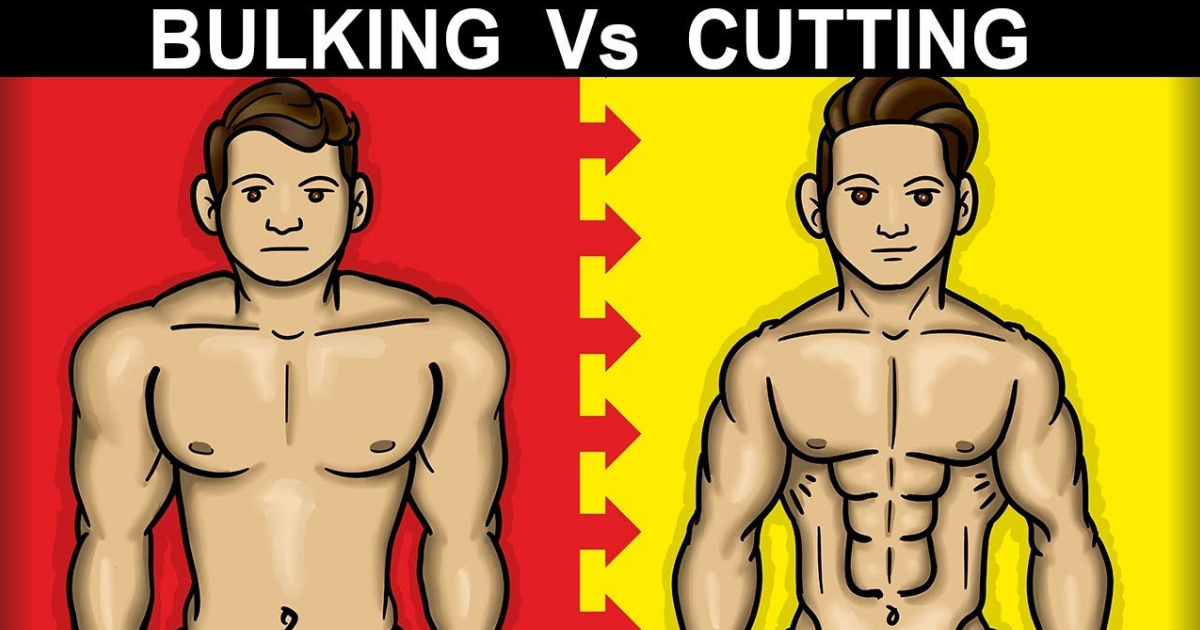advantages of bulking and cutting