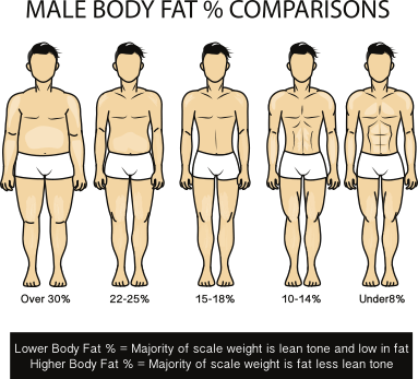 male-body-fat-percentage-comparisons