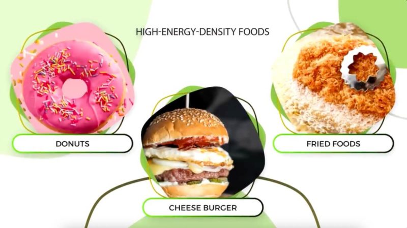 high-energy-density-food-diet