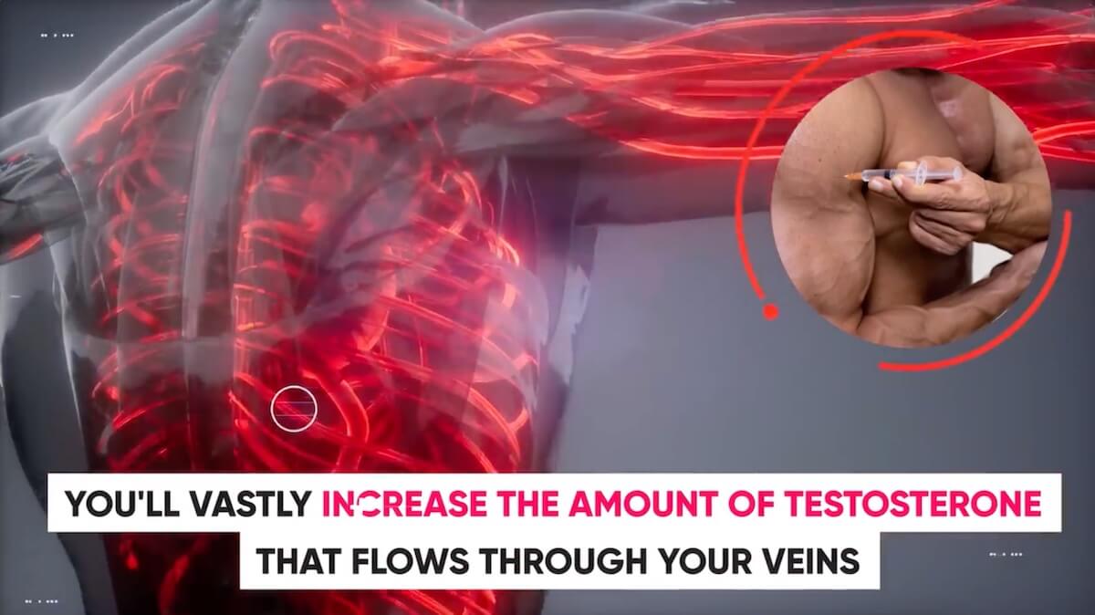 What Happens If Testosterone Is Injected Into A Vein So the testosterone enters your cells and binds to androgen receptors