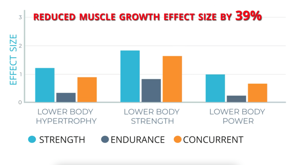 results-from-study-graph-muscle-growth-39-percent
