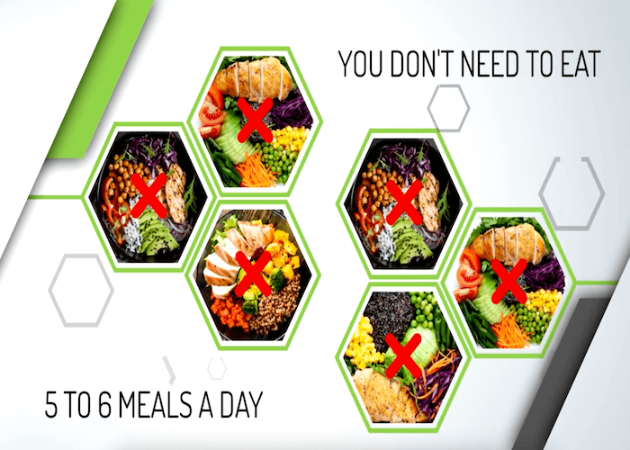 dont-need-5-or-6-meals-per-day-myth