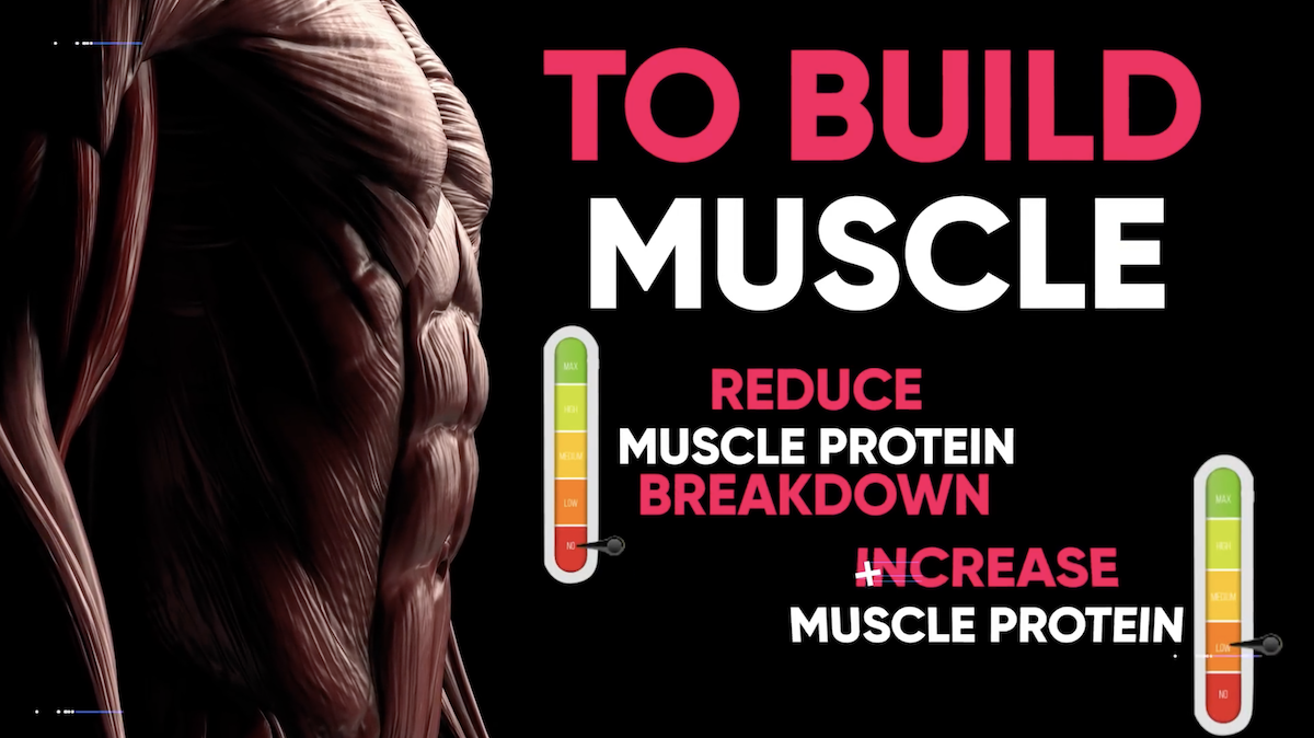 eat protein to build muscle