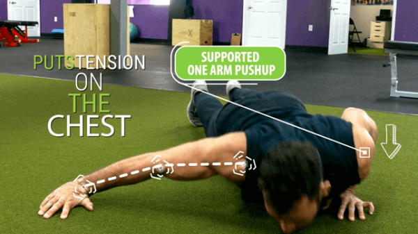 Push-Up Exercises For a Nicer Chest - Gravity Transformation